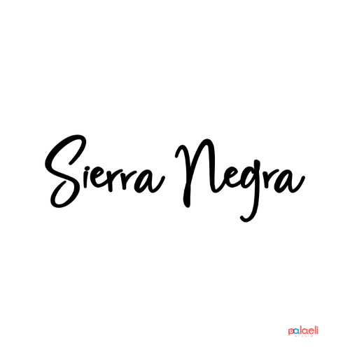 palaeli logo design6