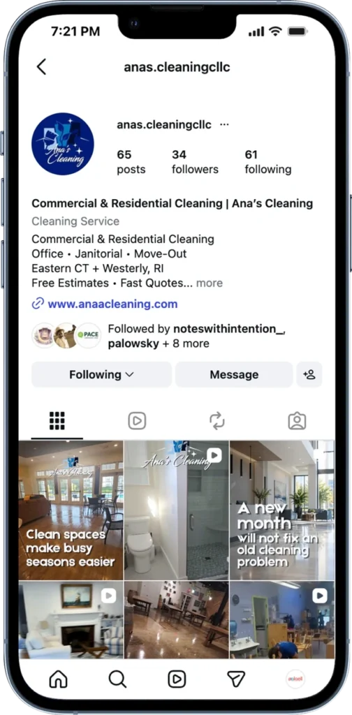 Ana’s Cleaning Instagram profile and content