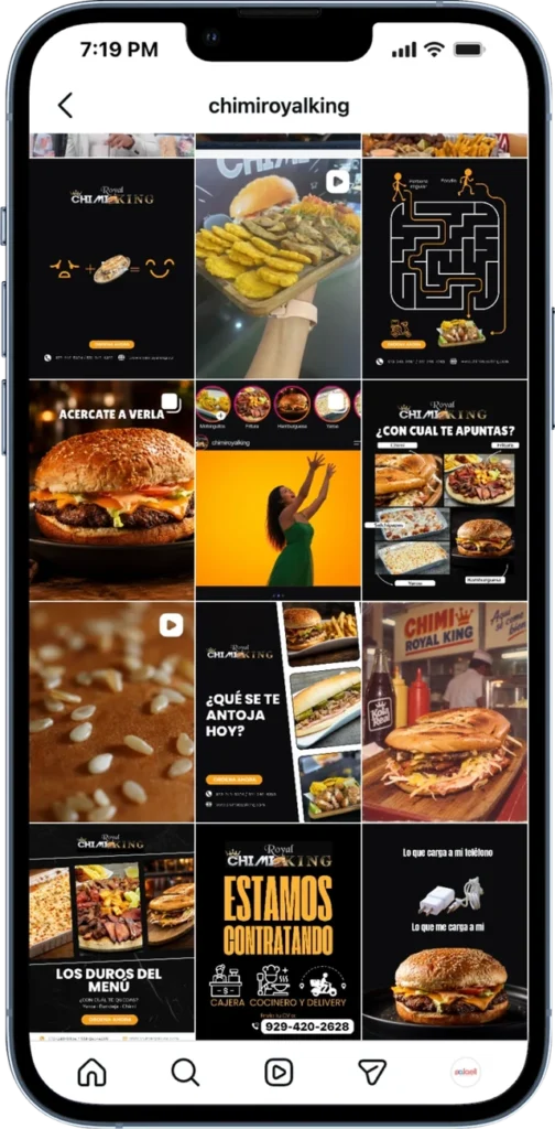 Chimi Royal King Instagram profile and content